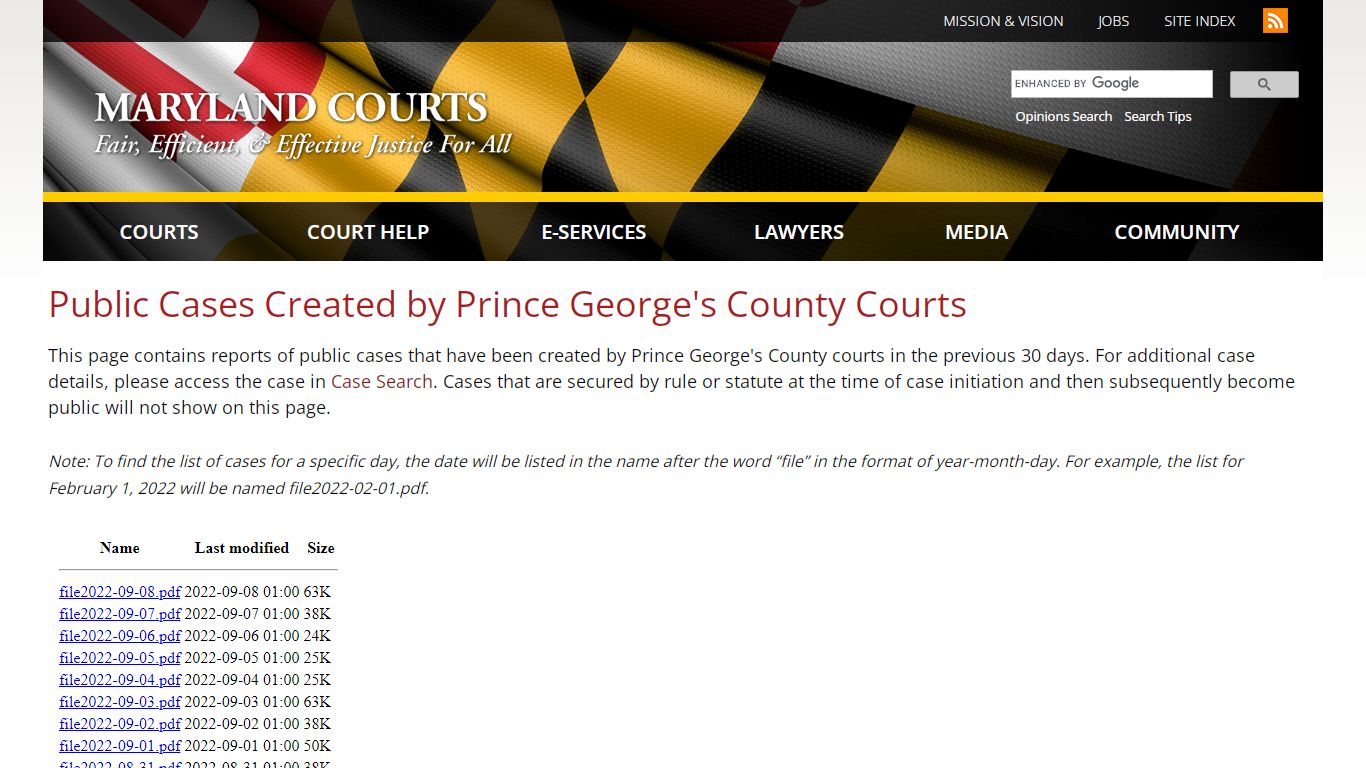 Public Cases Created by Prince George's County Courts